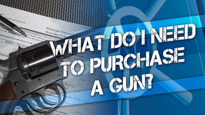 What Do I Need to Purchase a Gun?