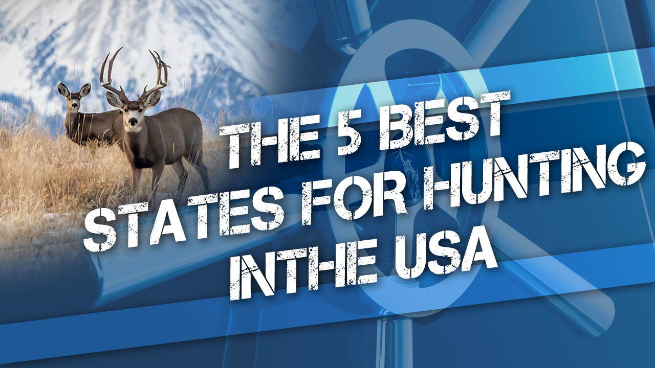 The 5 Best States For Hunting in the USA