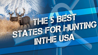 The 5 Best States For Hunting in the USA